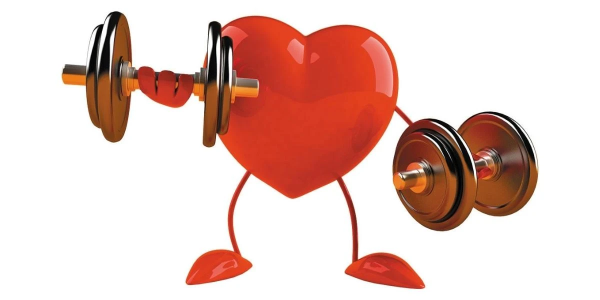 Improves-cardiovascular-health