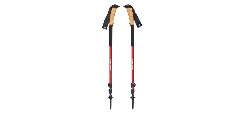 best-outdoor-gear-Leki-Detect-S-a-ski-pole