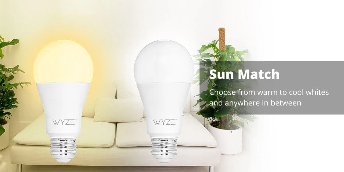 best-smart-home-devices-Wyze-WLPA19V2